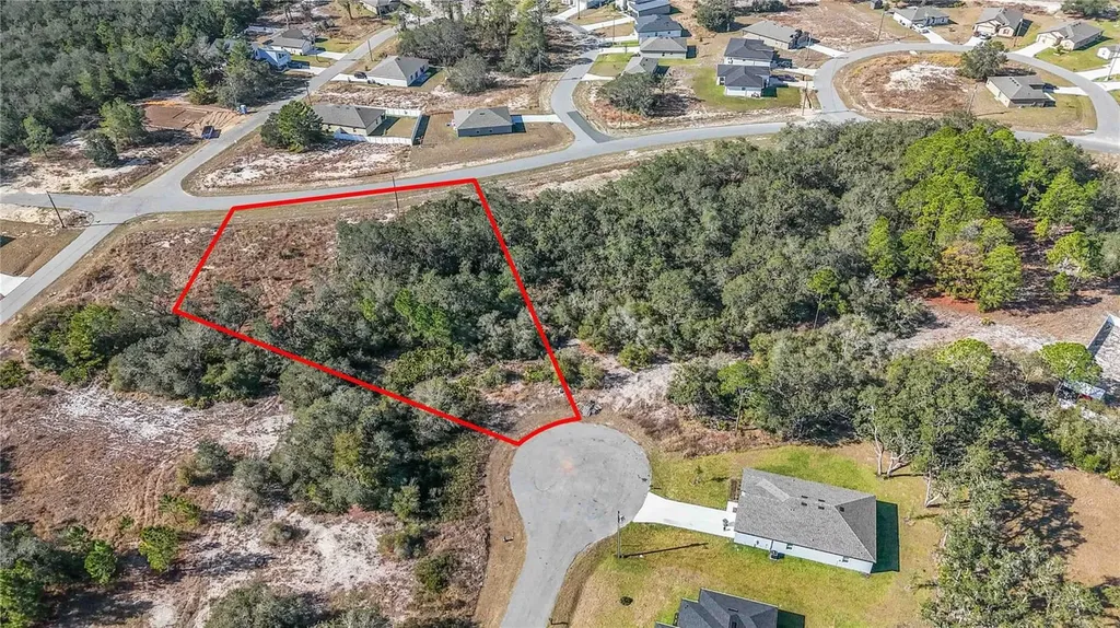320 Bowfin Lane Poinciana FL 34759