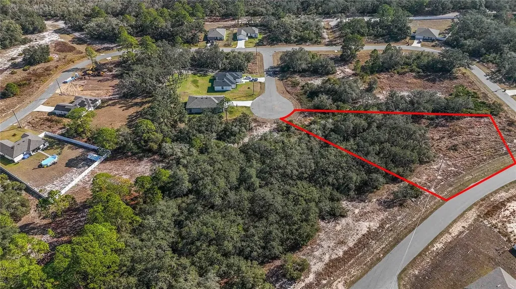 320 Bowfin Lane Poinciana FL 34759