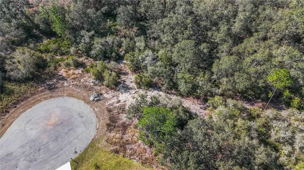 320 Bowfin Lane Poinciana FL 34759