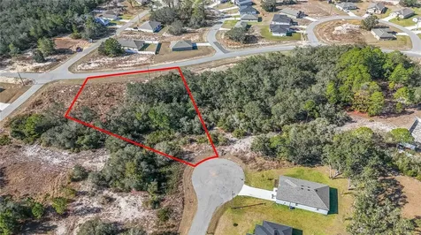 320 Bowfin Lane Poinciana FL 34759