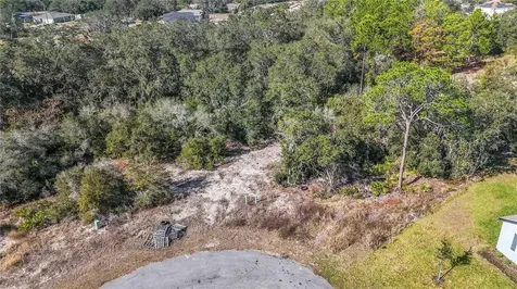 320 Bowfin Lane Poinciana FL 34759