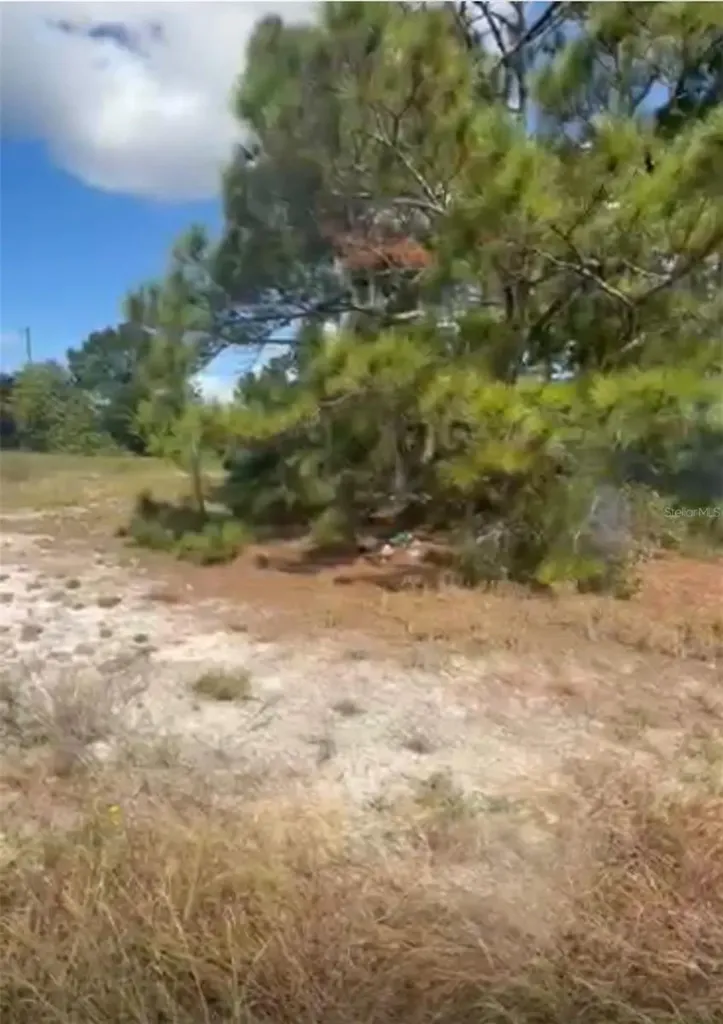 334 Sun Court Lake Placid FL 33852