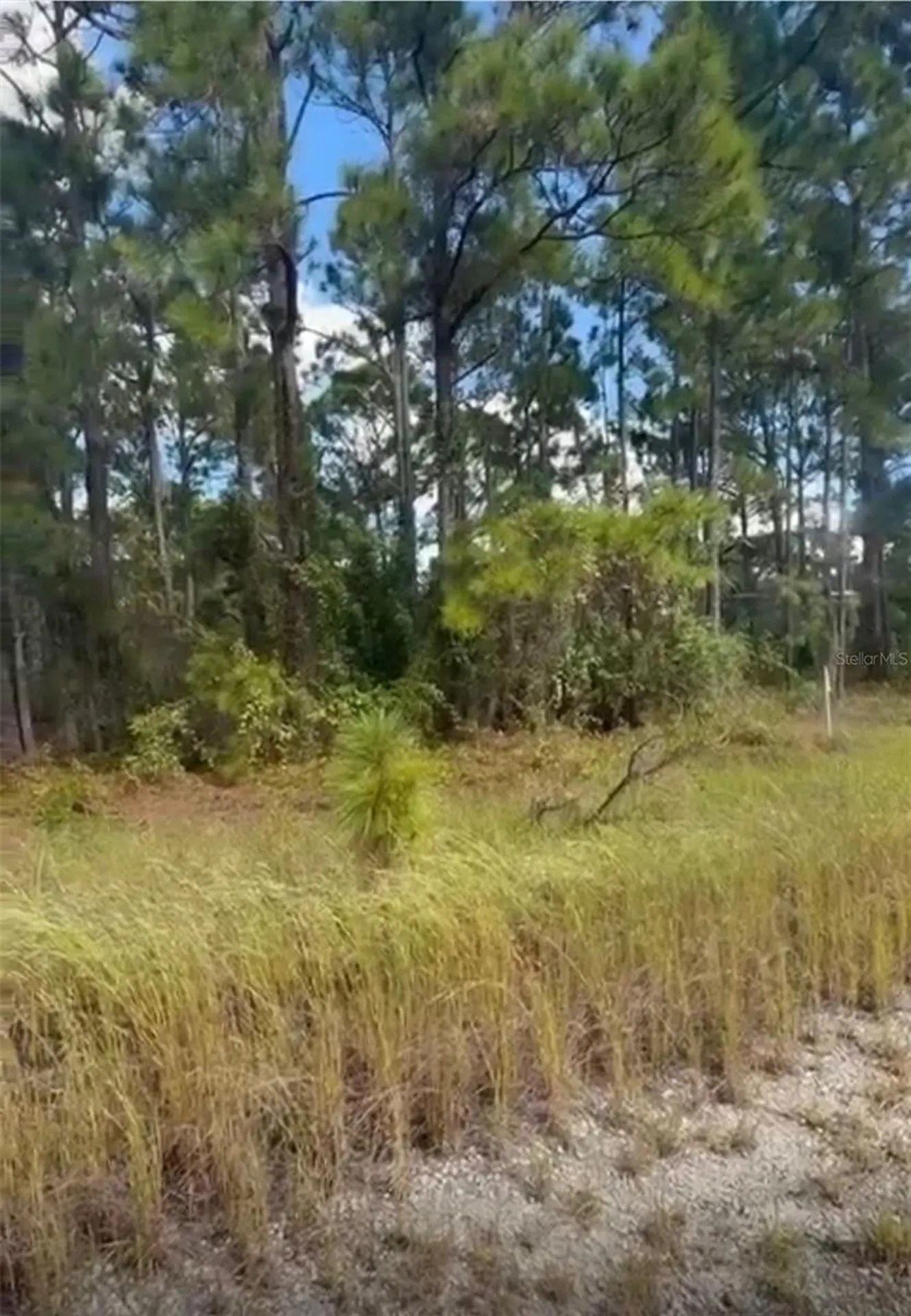 334 Sun Court Lake Placid FL 33852
