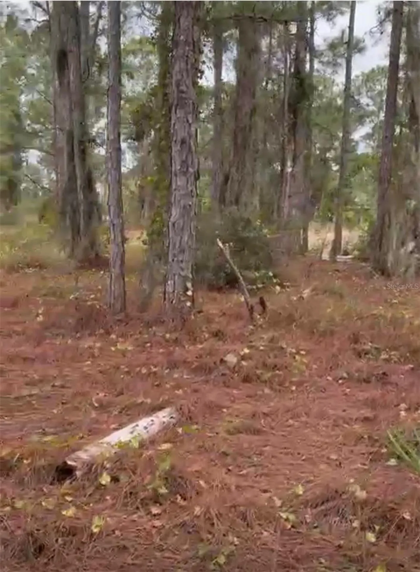 334 Sun Court Lake Placid FL 33852