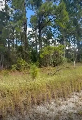 334 Sun Court Lake Placid FL 33852