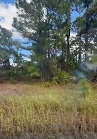 334 Sun Court Lake Placid FL 33852