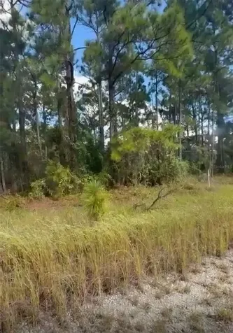 334 Sun Court Lake Placid FL 33852