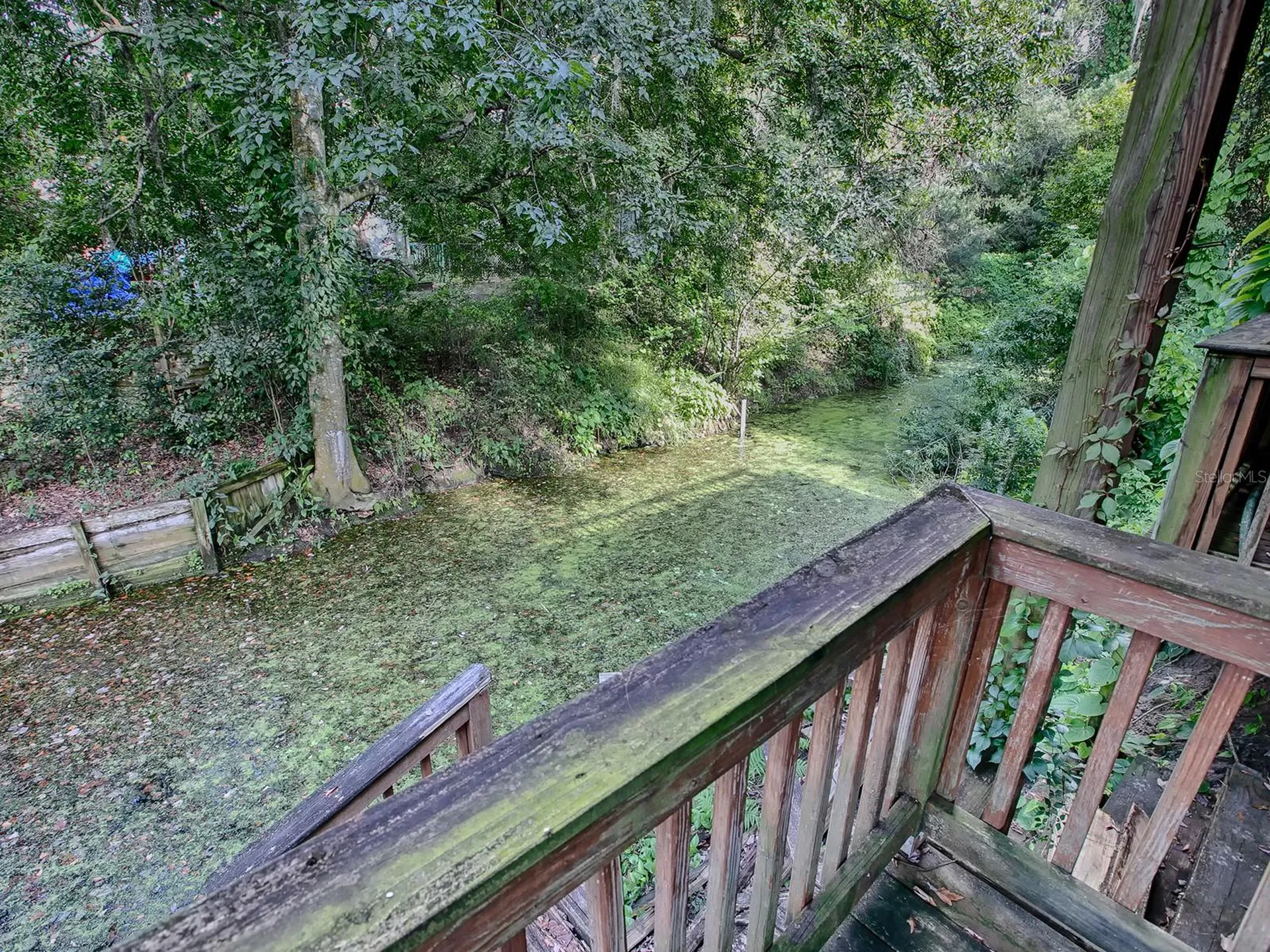 853 Cr 484 Lake Panasoffkee FL 33538