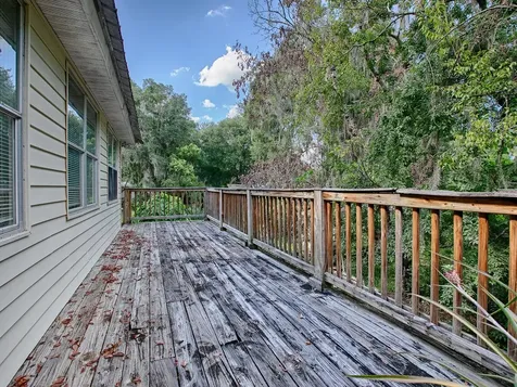 853 Cr 484 Lake Panasoffkee FL 33538
