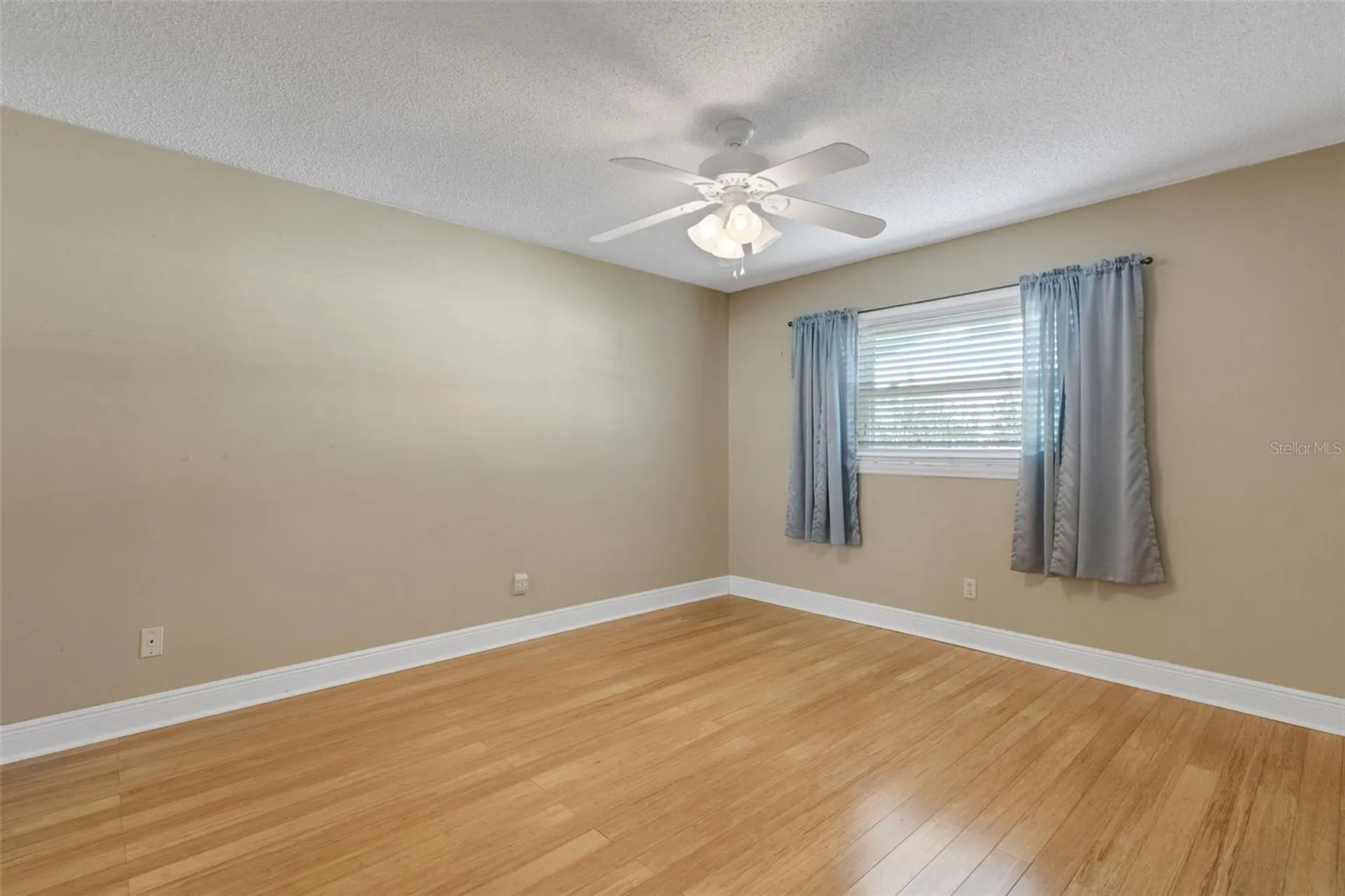 1601 W Dorchester Drive Palm Harbor FL 34684