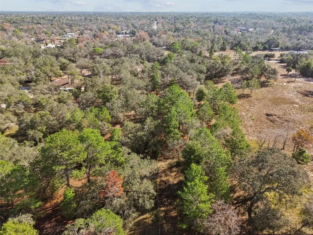 14459 Coyote Road Hudson FL 34669