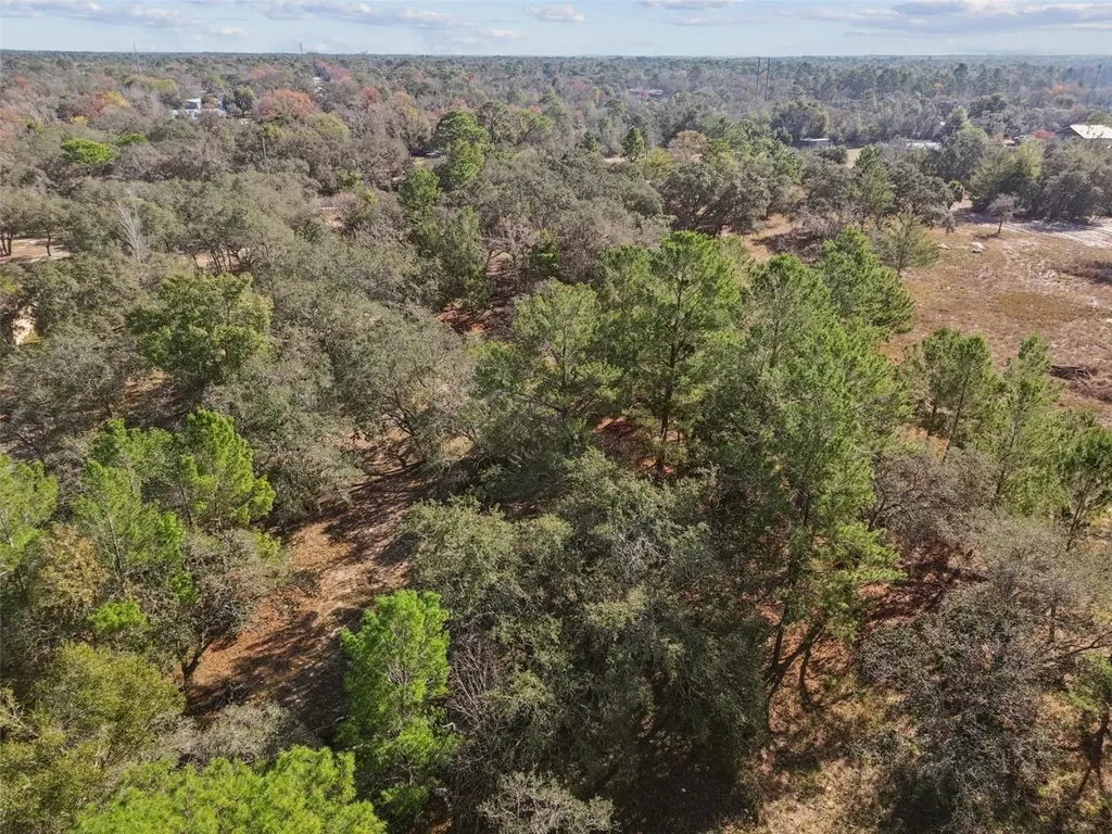 14459 Coyote Road Hudson FL 34669