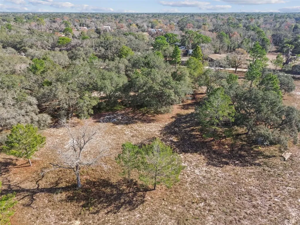 14459 Coyote Road Hudson FL 34669