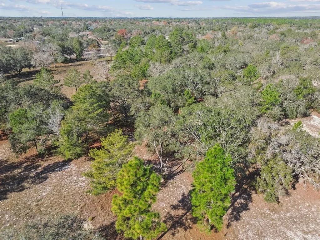 14459 Coyote Road Hudson FL 34669
