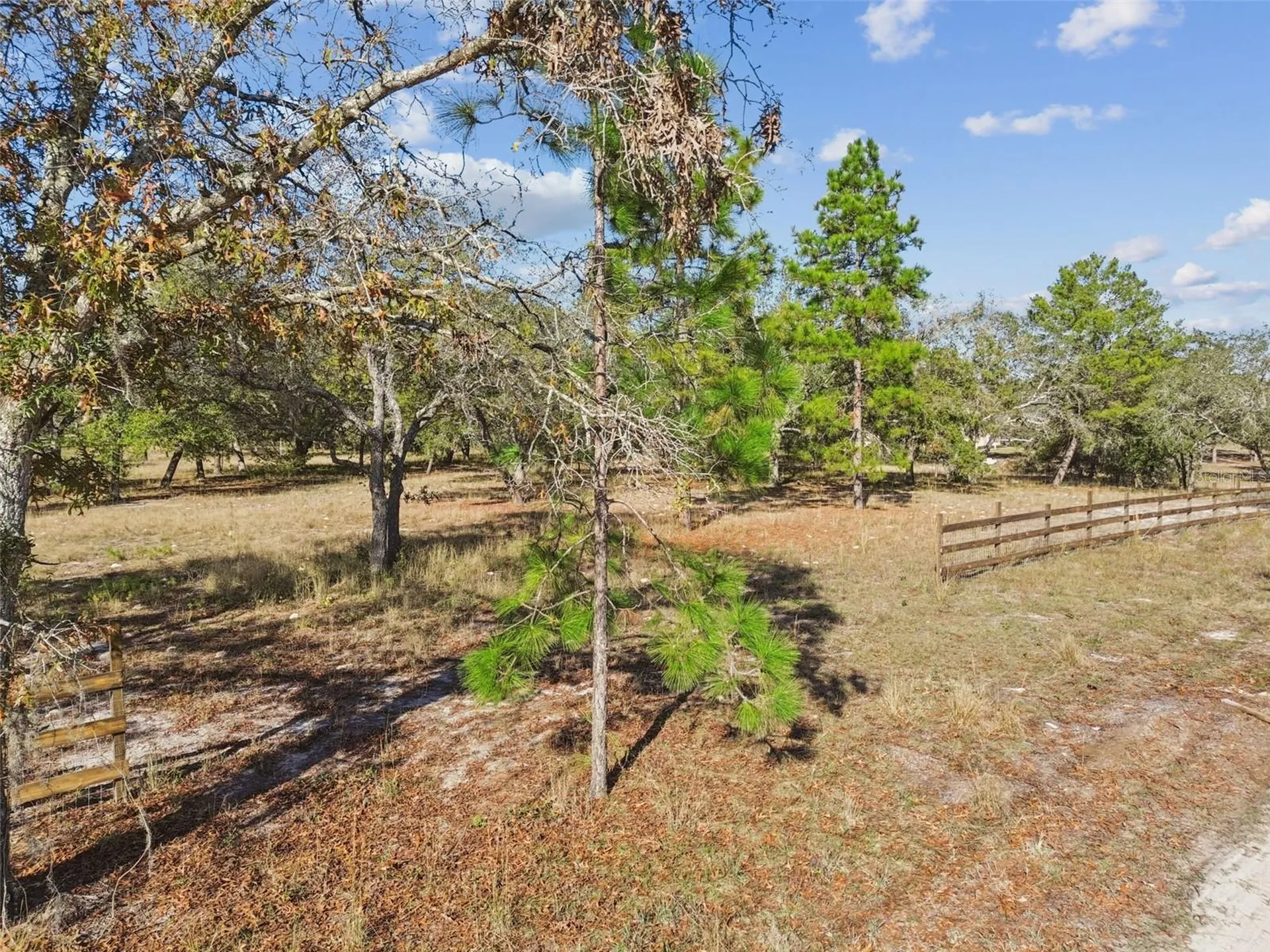14459 Coyote Road Hudson FL 34669