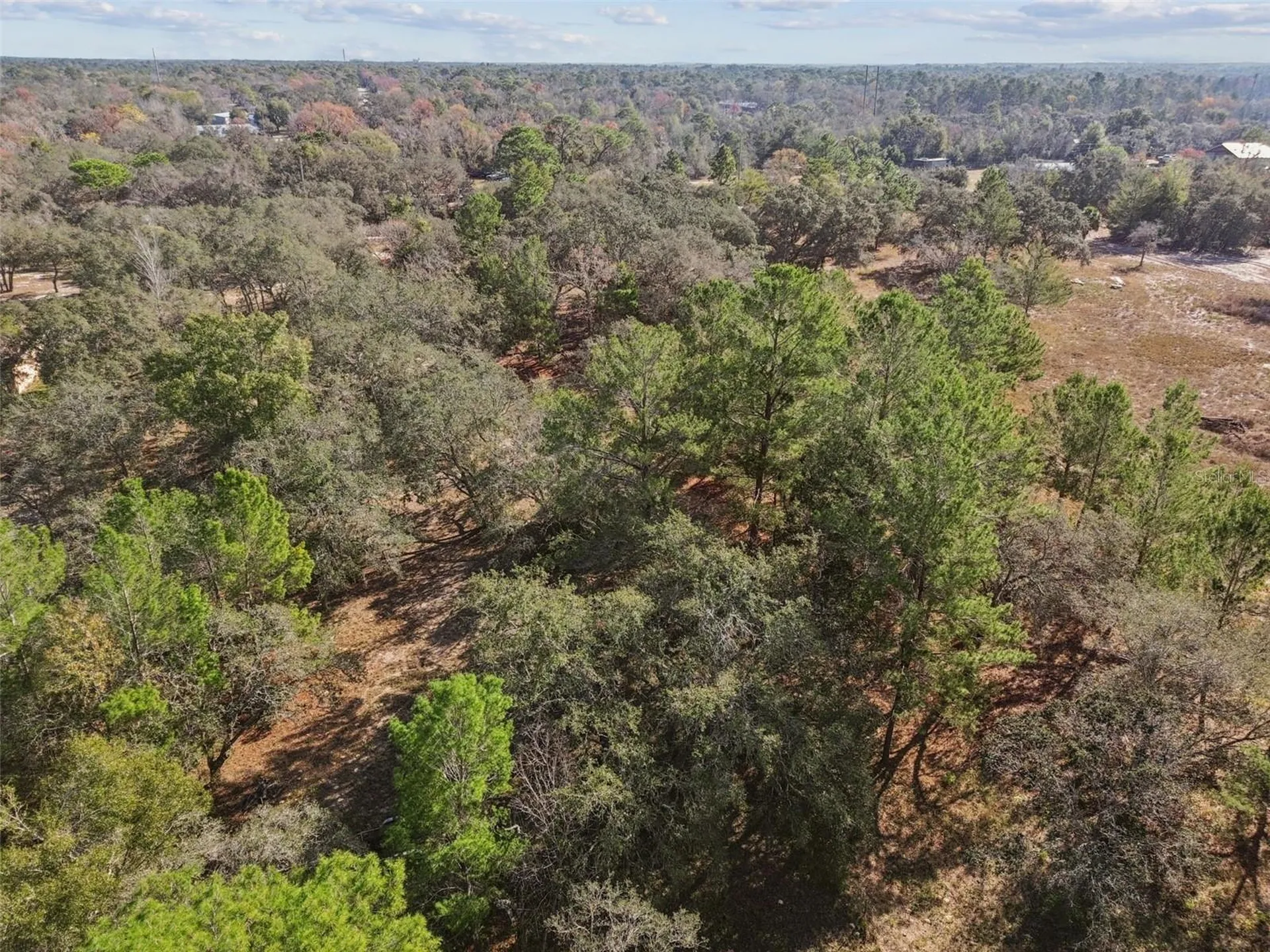 14459 Coyote Road Hudson FL 34669