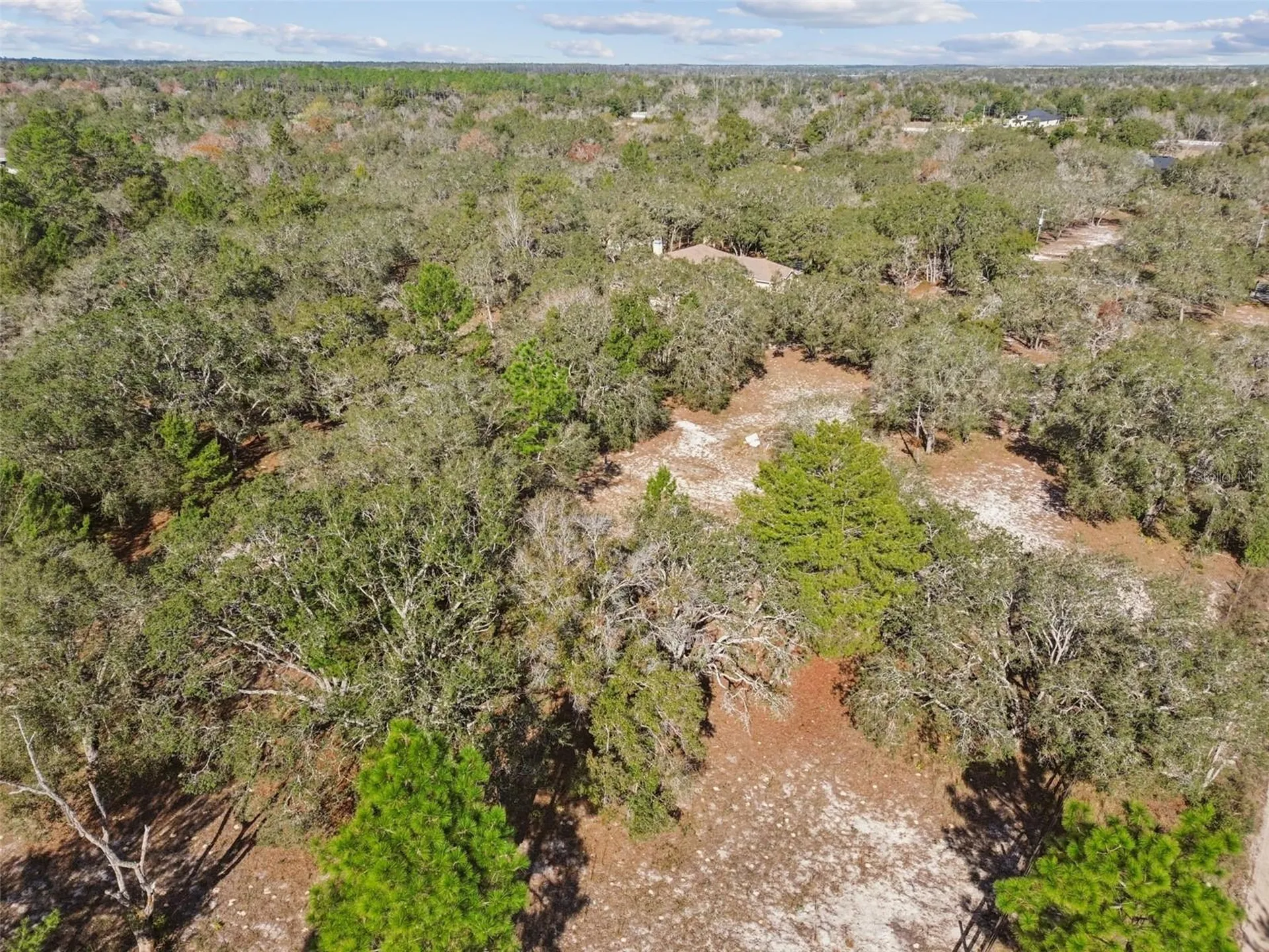 14459 Coyote Road Hudson FL 34669