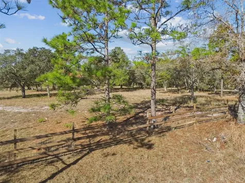 14459 Coyote Road Hudson FL 34669
