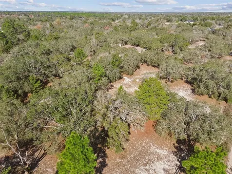 14459 Coyote Road Hudson FL 34669
