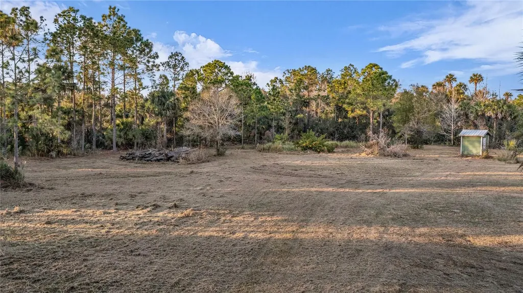 2331 Waccassa Street Geneva FL 32732