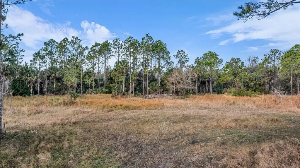 2331 Waccassa Street Geneva FL 32732