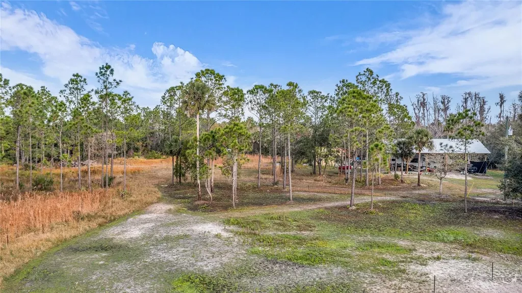 2331 Waccassa Street Geneva FL 32732
