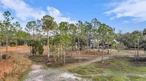 2331 Waccassa Street Geneva FL 32732