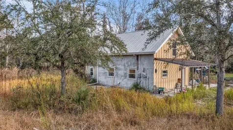 2331 Waccassa Street Geneva FL 32732