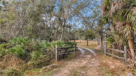 2331 Waccassa Street Geneva FL 32732