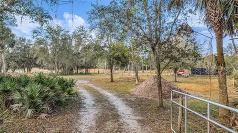 2331 Waccassa Street Geneva FL 32732