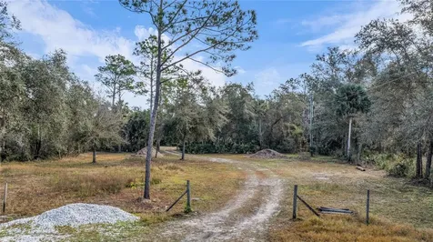 2331 Waccassa Street Geneva FL 32732