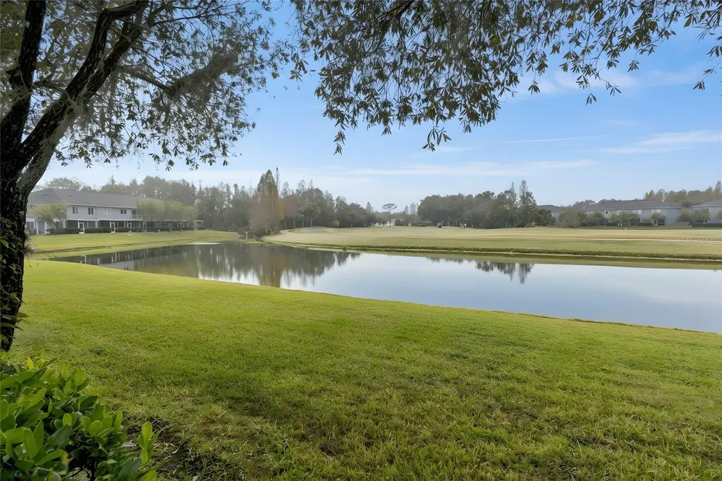18214 Paradise Point Drive Tampa FL 33647