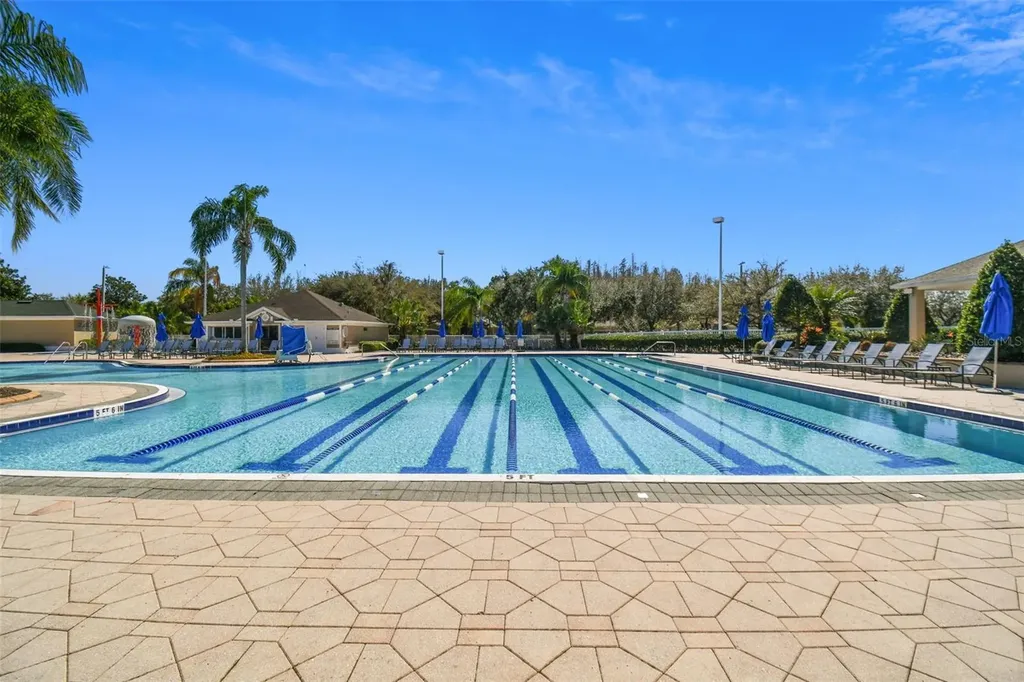 18214 Paradise Point Drive Tampa FL 33647