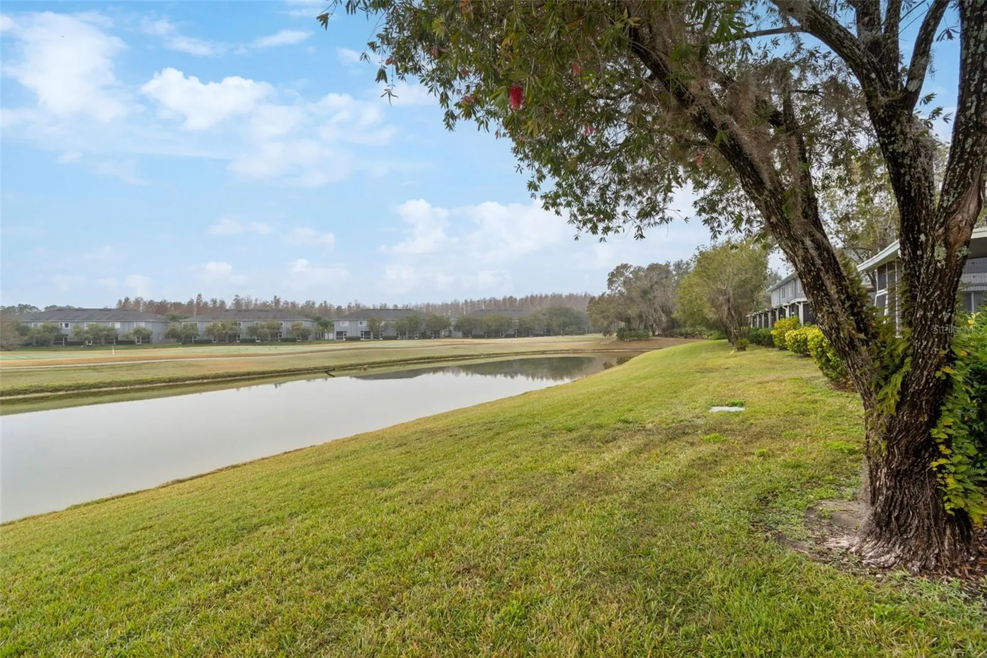 18214 Paradise Point Drive Tampa FL 33647