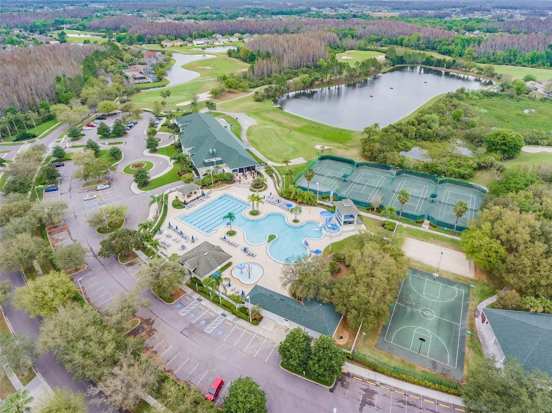 18214 Paradise Point Drive Tampa FL 33647