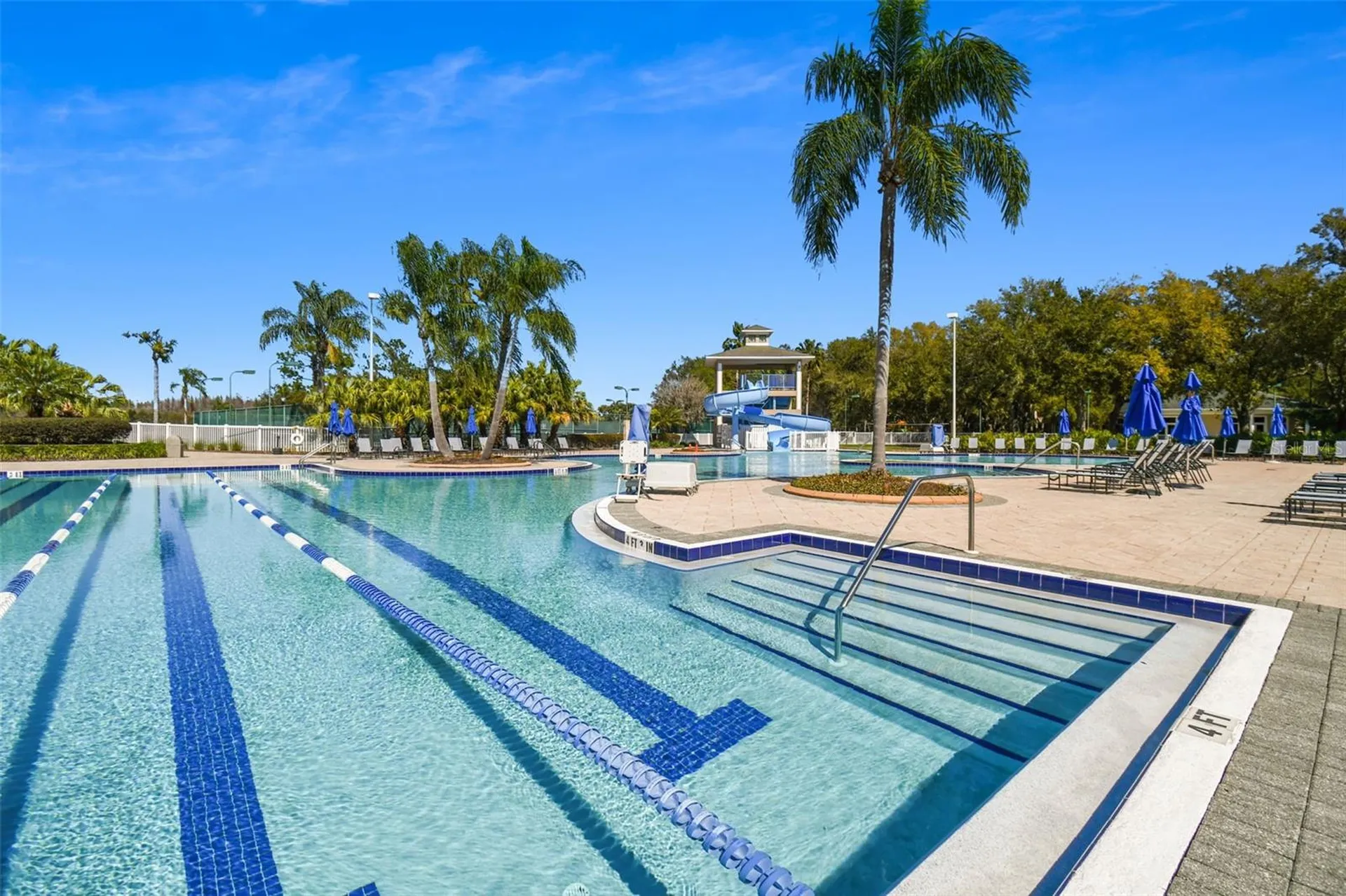 18214 Paradise Point Drive Tampa FL 33647