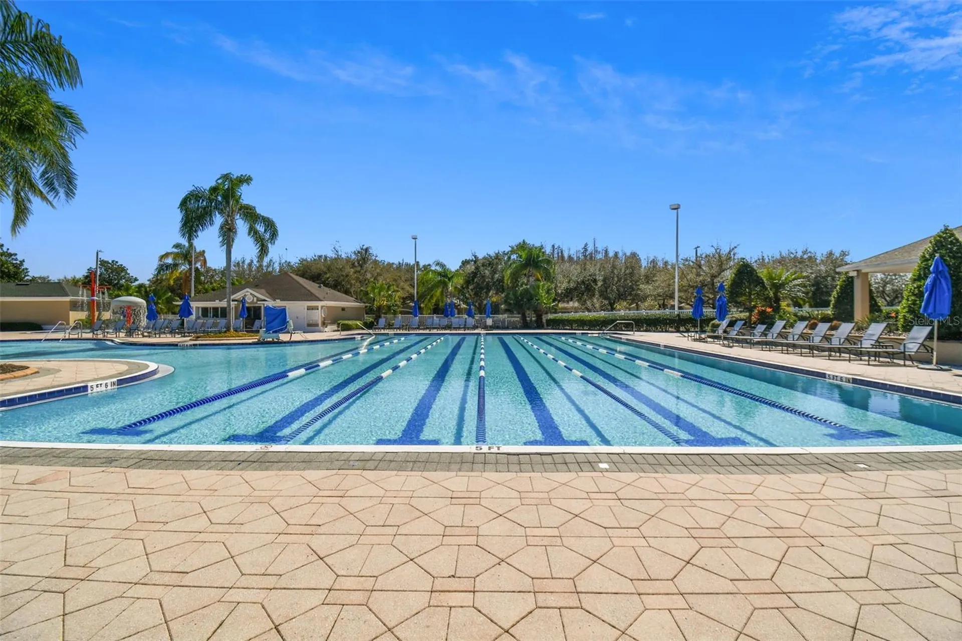 18214 Paradise Point Drive Tampa FL 33647