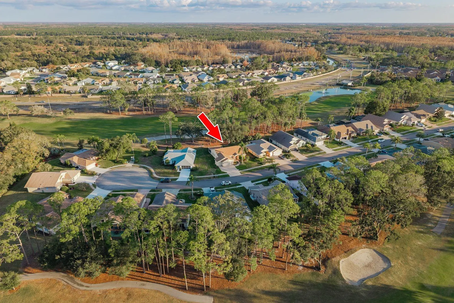 9742 Oakwood Hills Court New Port Richey FL 34655