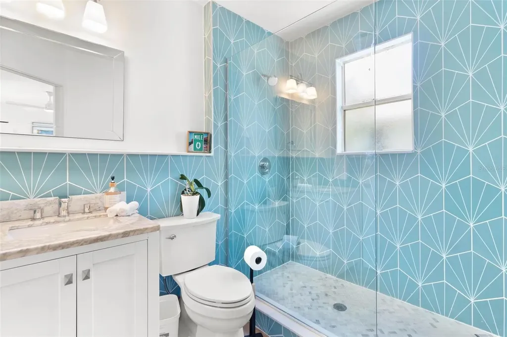 747 39th Avenue NE St Petersburg FL 33703