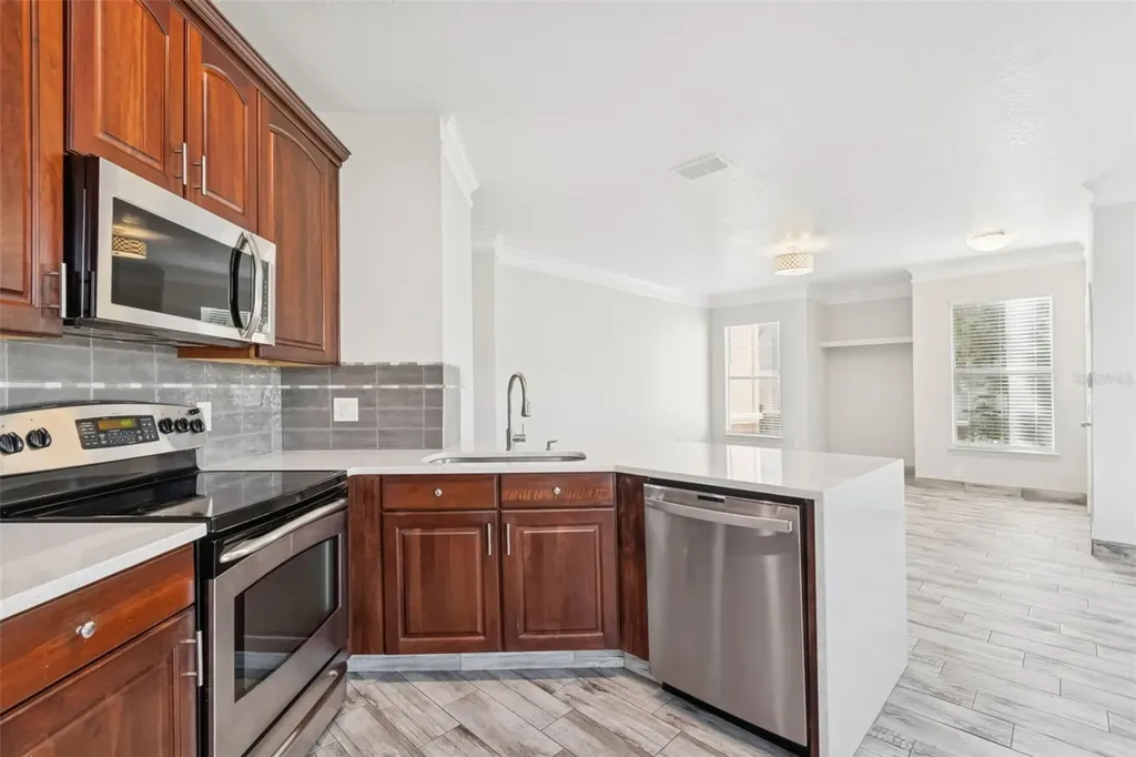 17932 Villa Creek Drive Tampa FL 33647