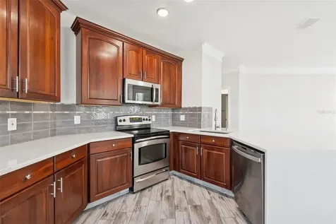 17932 Villa Creek Drive Tampa FL 33647