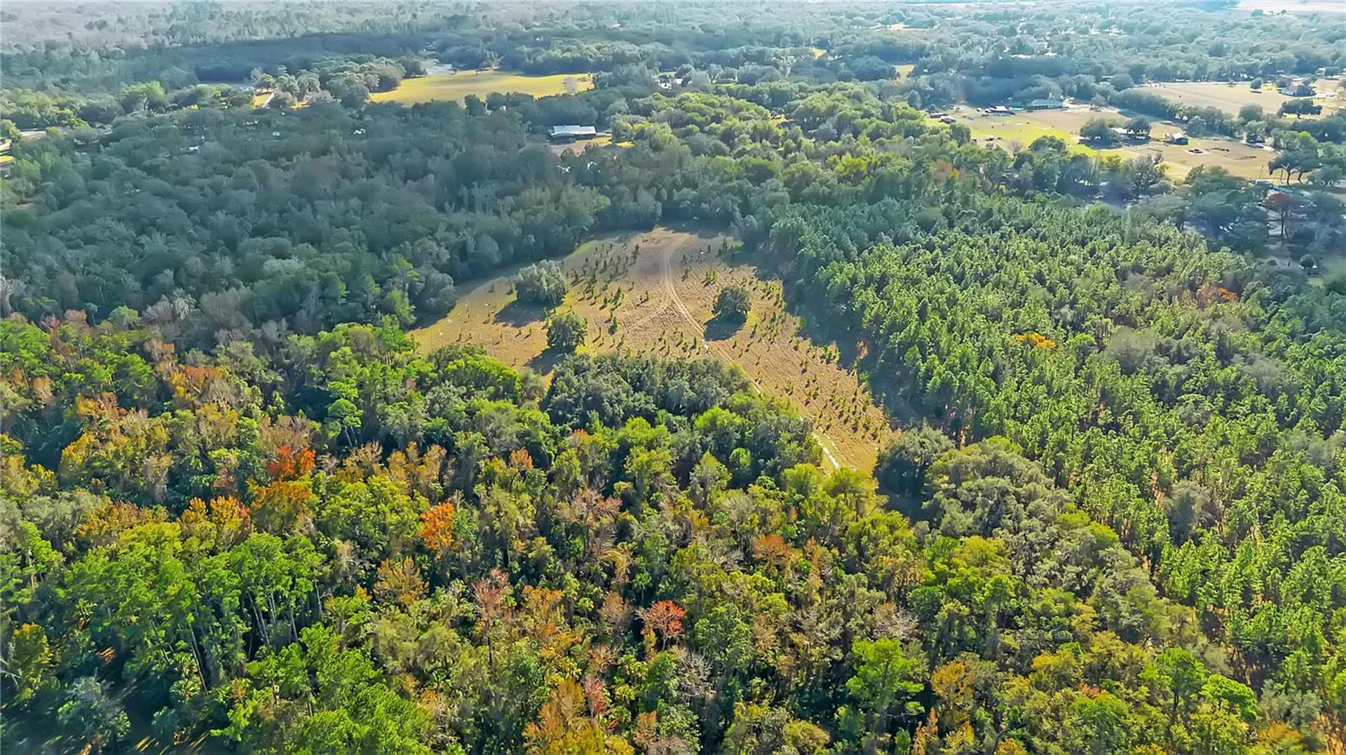 27737 County Road 44a Eustis FL 32736