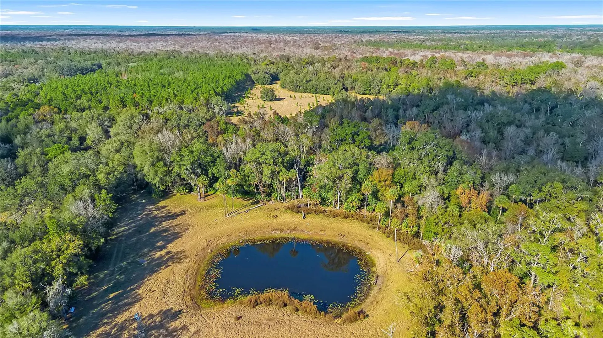27737 County Road 44a Eustis FL 32736