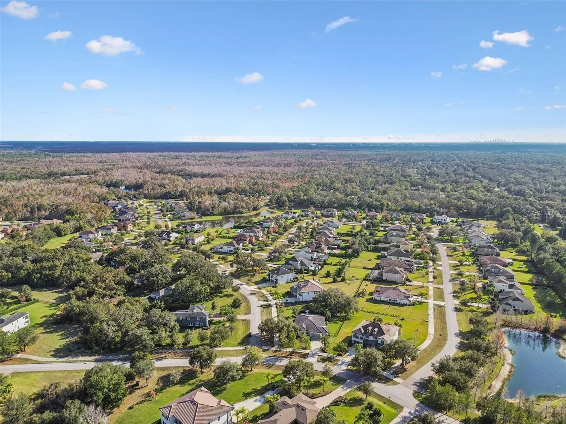 2519 Cordoba Ranch Boulevard Lutz FL 33559