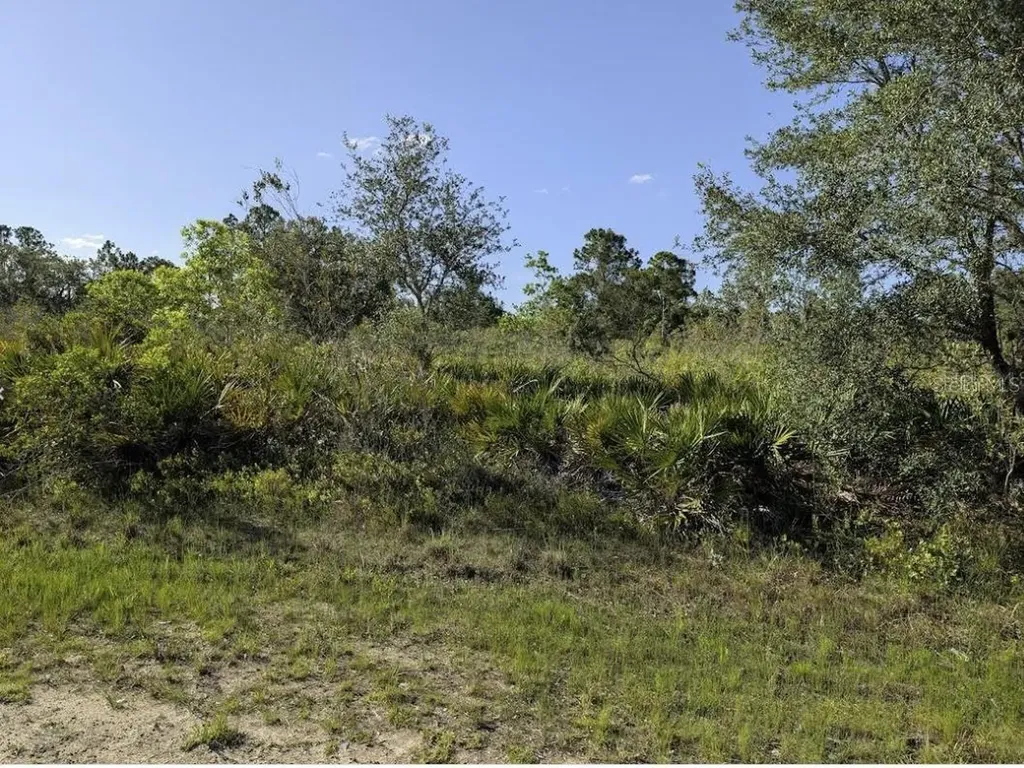 714 Magnolia Drive Indian Lake Estates FL 33855