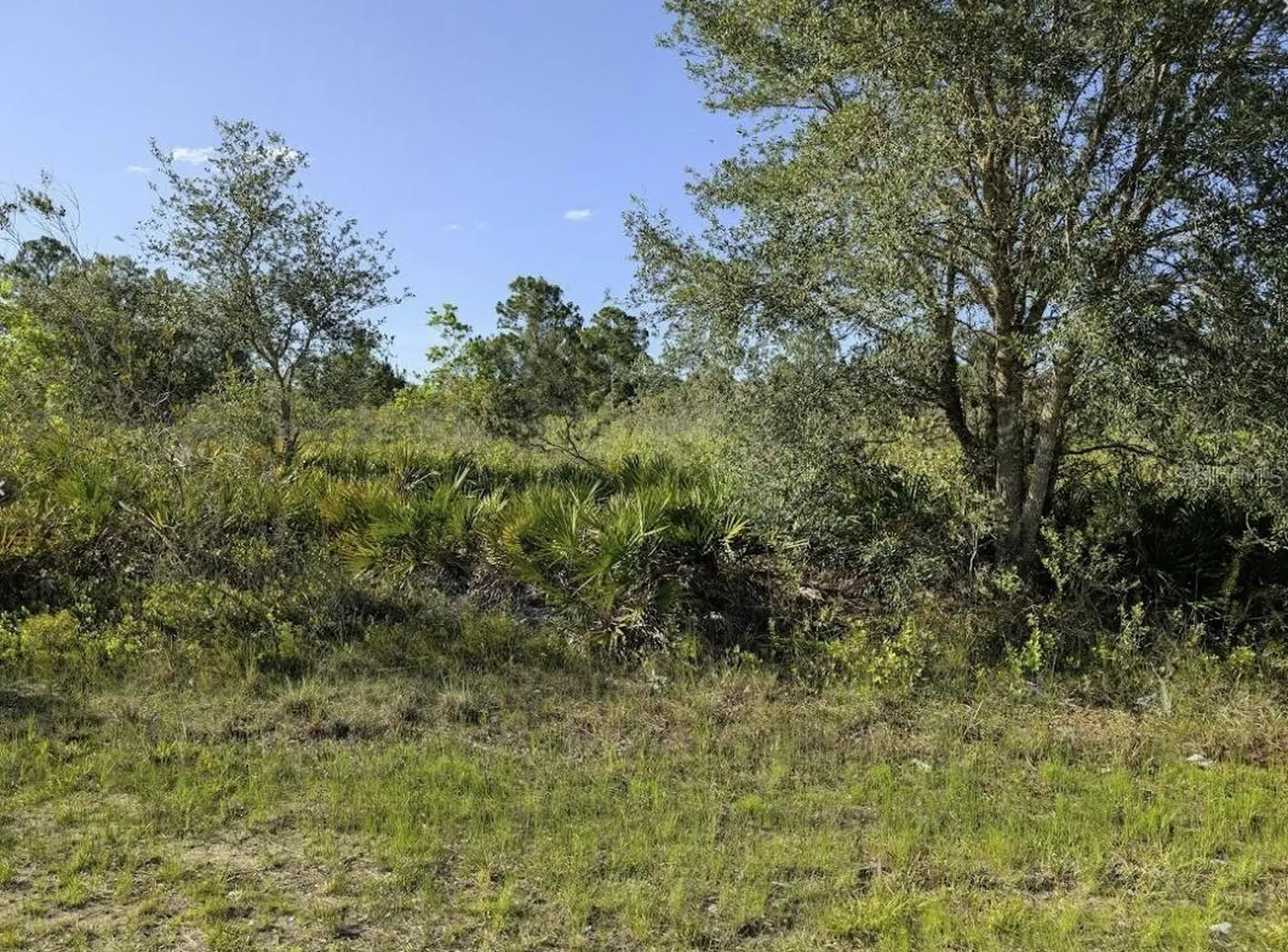 714 Magnolia Drive Indian Lake Estates FL 33855