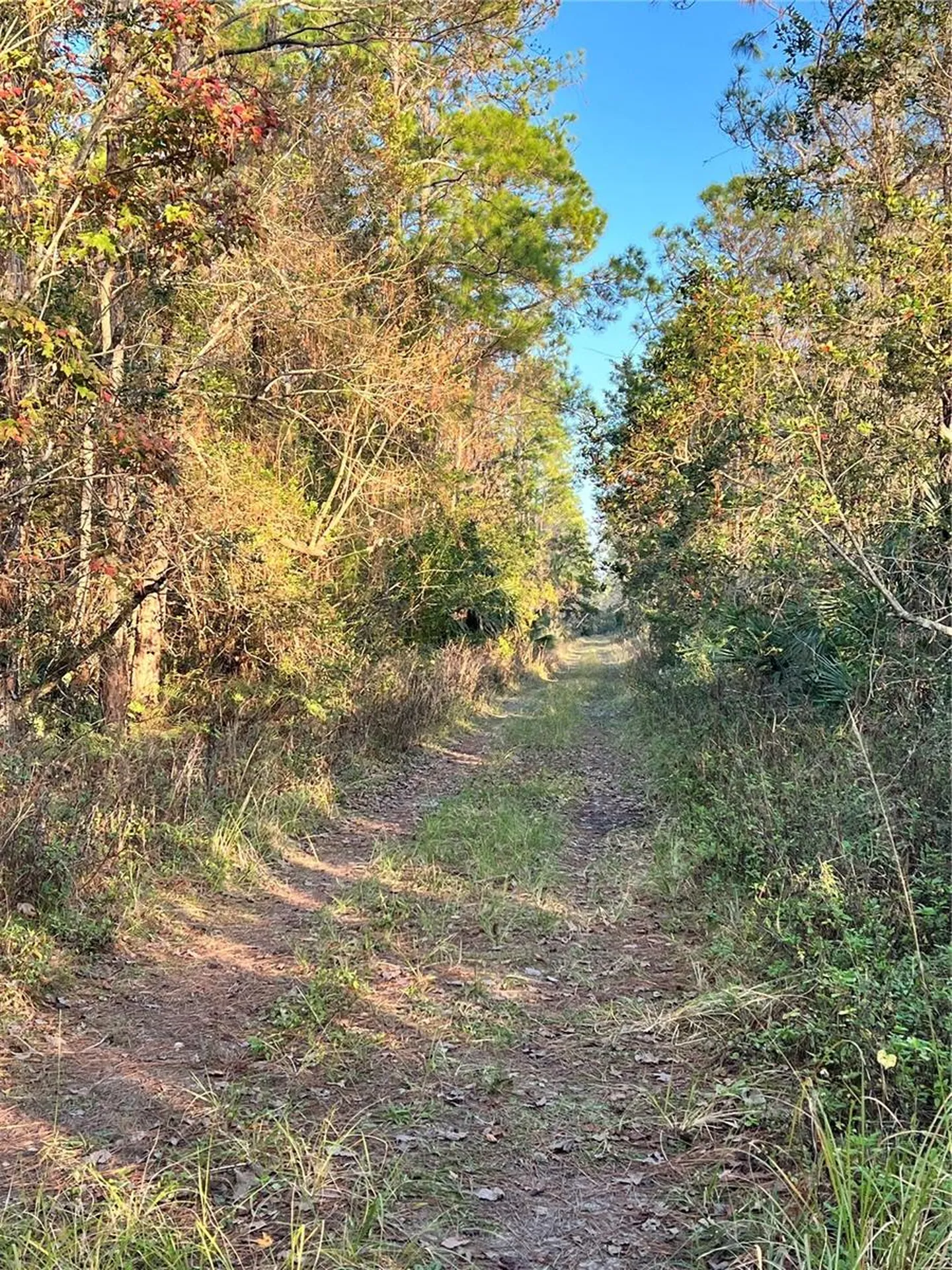 University Highlands/ Deland Crossings Deland FL 32724
