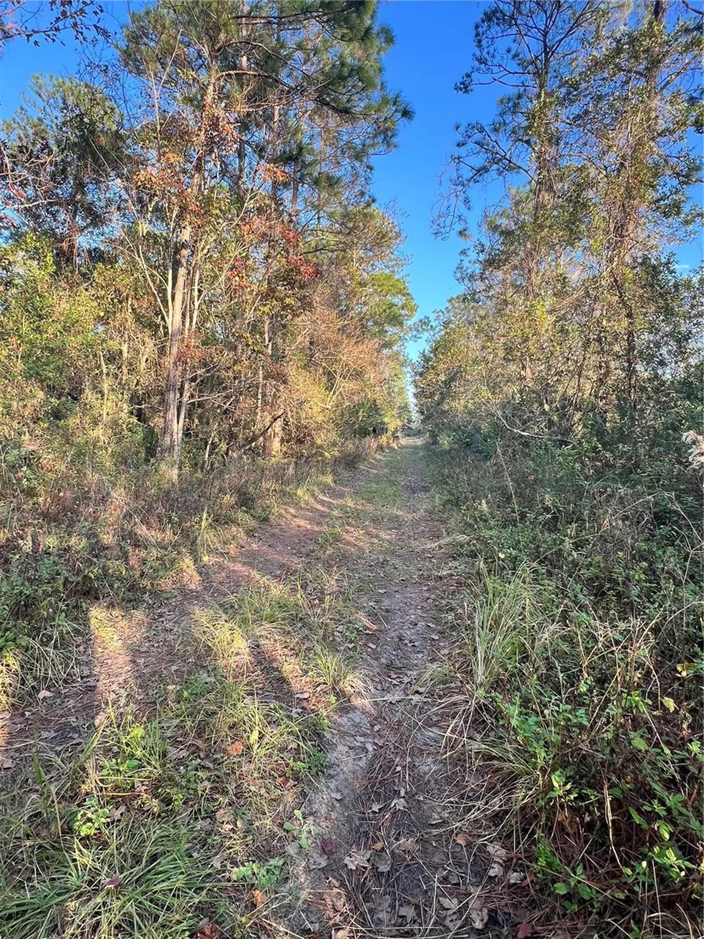University Highlands/ Deland Crossings Deland FL 32724
