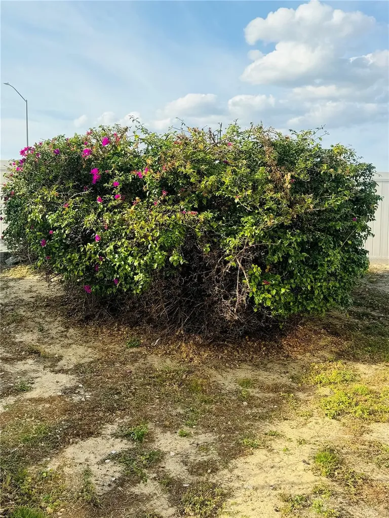 917 St George Drive Davenport FL 33837