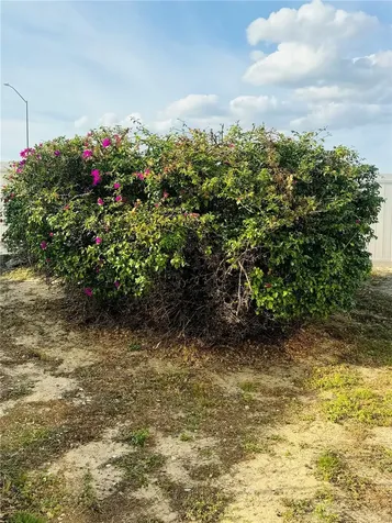 917 St George Drive Davenport FL 33837